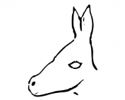 Ambiguity (uncertainty) aversion