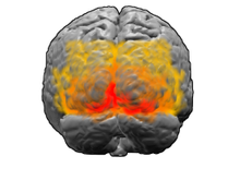 Conceptual and Associative Priming